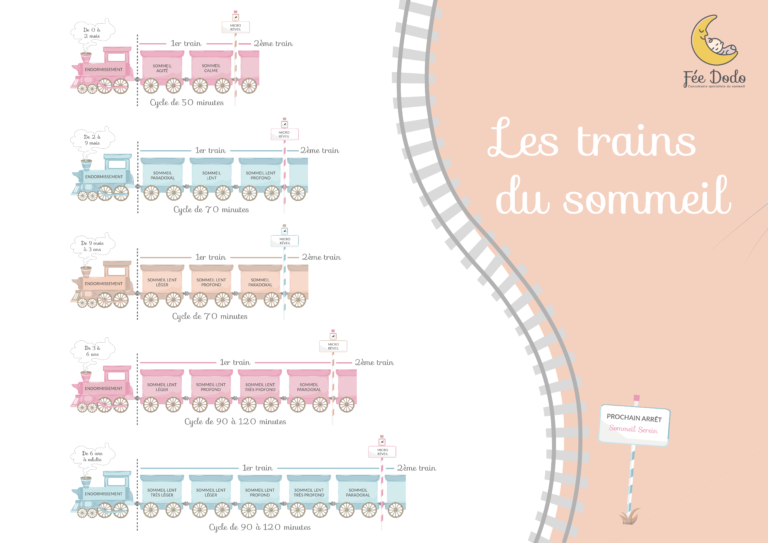 Cycle sommeil bébé comment aider bébé à enchaîner les cycles