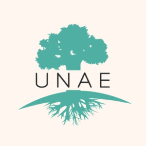 logo unae